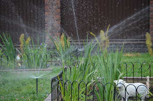 Запуск полива