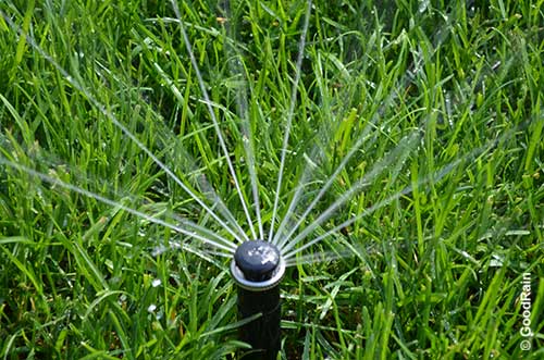 Работающие спринклеры автополива Аврора