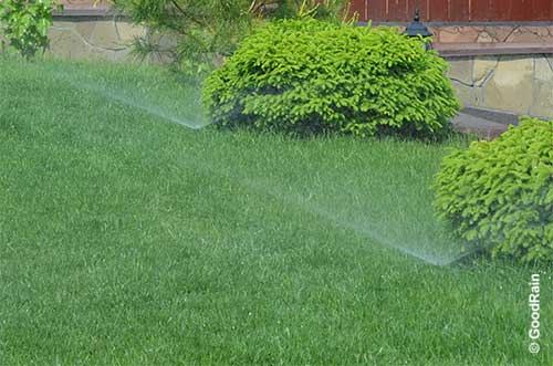 Запуск автополива